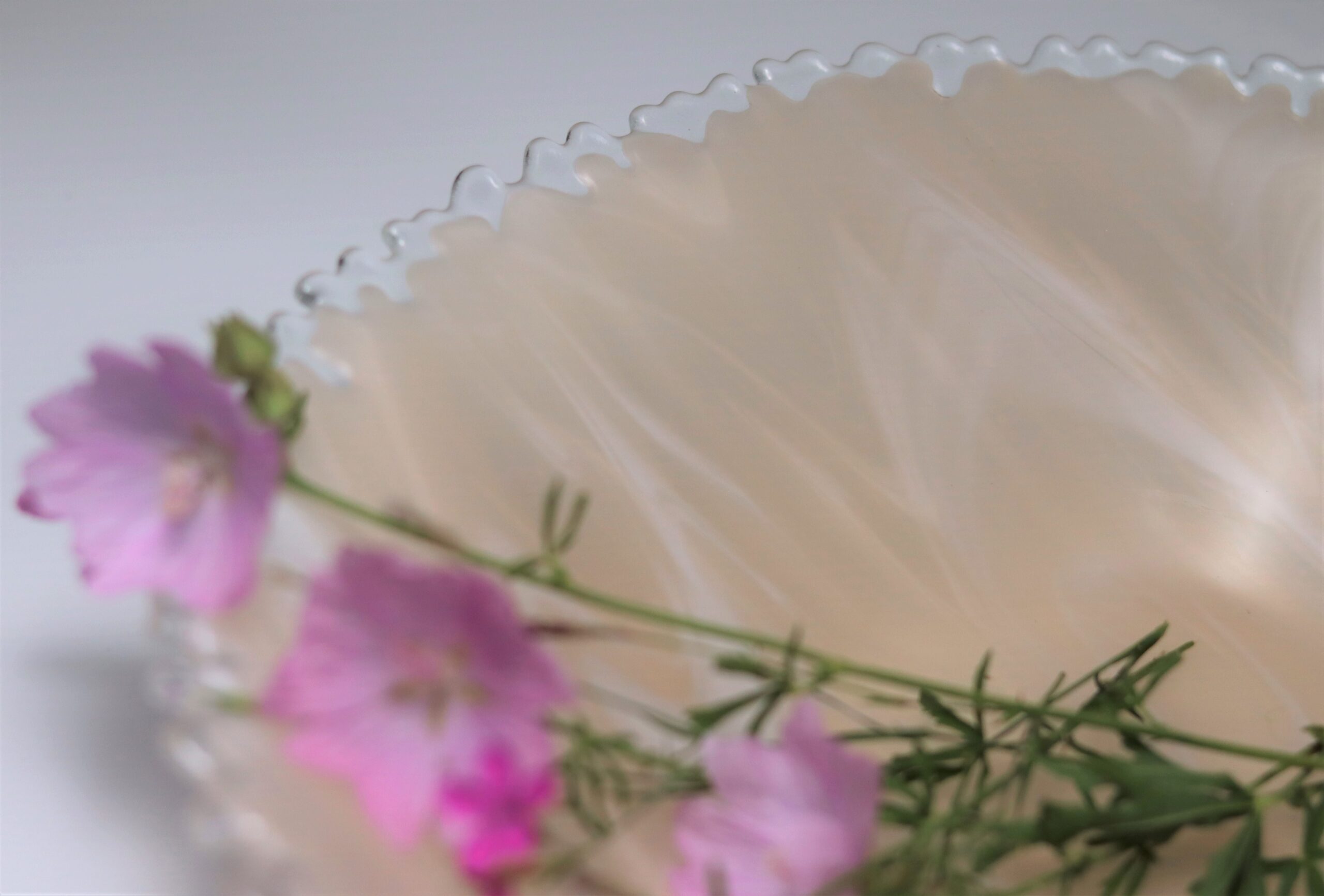 Mísa - Sasanka Champagne - Image 2